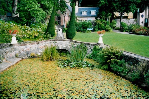 Pond